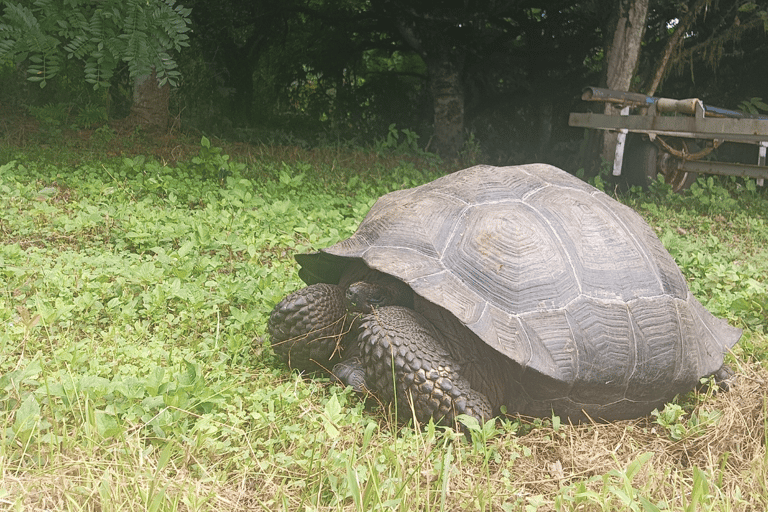 4 days tour in Galapagos Las Grietas and Tortuga Bay