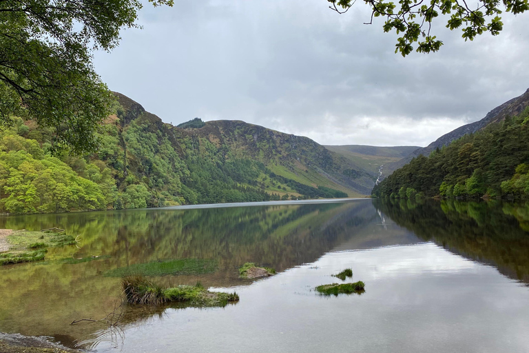 Indywidualna wycieczka z Dublina: Wicklow, Glendalough, Powerscourt