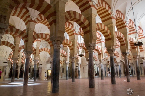 Depuis Malaga : Excursion privée d'une journée à Cordoue, Mosquée et Cathédrale