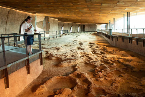 From Longreach: Outback Winton Full Day Tour