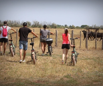 Aigues Mortes: safari en vélo - E-Bike Tour in der Camargue
