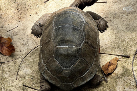 Ciudad de piedra y prisión Isla