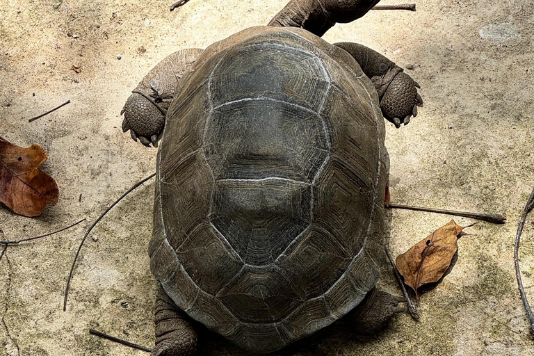 Ciudad de piedra y prisión Isla