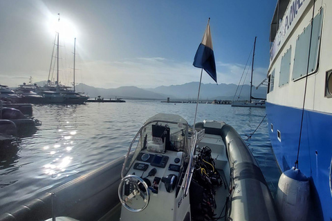 First Scuba Diving Experience in Calvi (From 8 yo) Calvi: Discover Scuba Diving