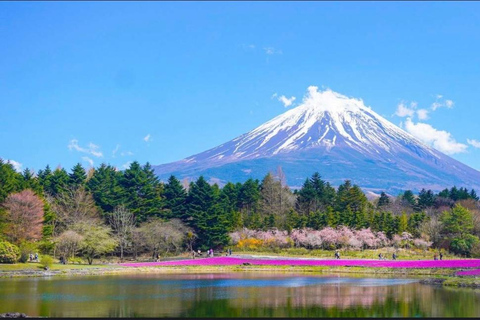 Från Tokyo: Fuji-berget eller Hakone Sightseeing Privat dagstur