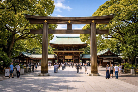 From Tokyo: Tokyo Full Day Private Sightseeing City Tour ITINERARY B:Tokyo Private Customized Tour With English Guide
