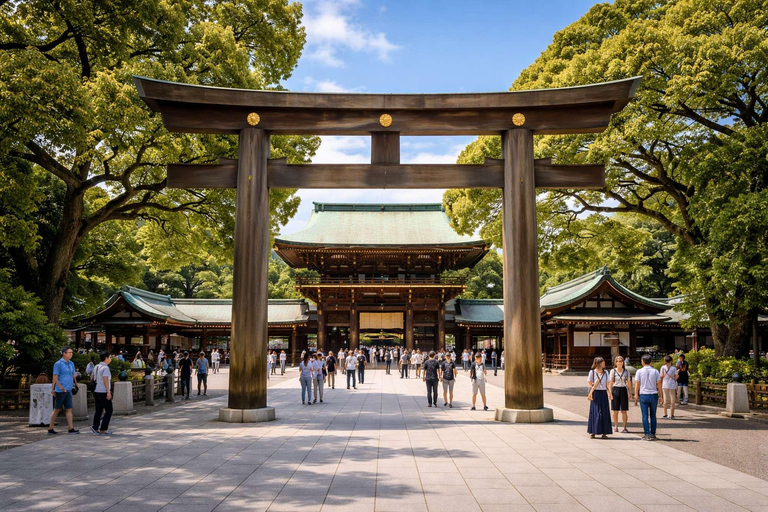 From Tokyo: Tokyo Full Day Private Sightseeing City Tour ITINERARY B:Tokyo Private Customized Tour With English Guide