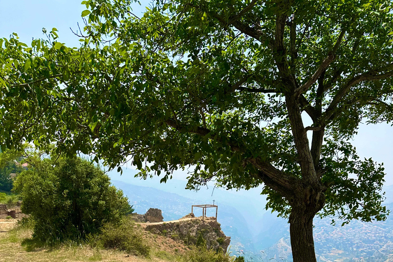 Beirut: Cedars of God, Ehden & Lake Private Tour with Lunch