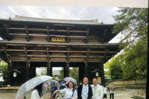 Tour di Nara e Kyoto