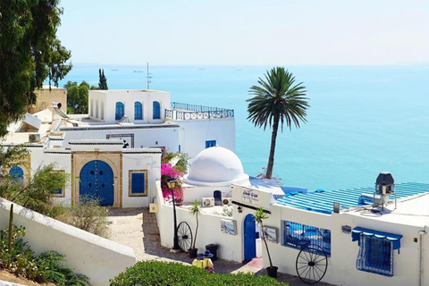 Tunis: Medina, Carthage, and Sidi Bou Saïd Tour