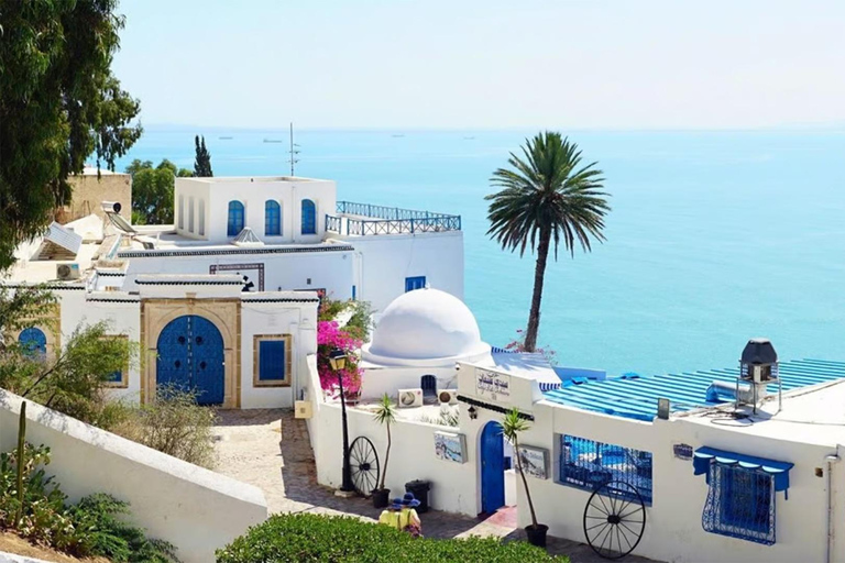 Tunis: Medina, Carthage, and Sidi Bou Saïd Tour