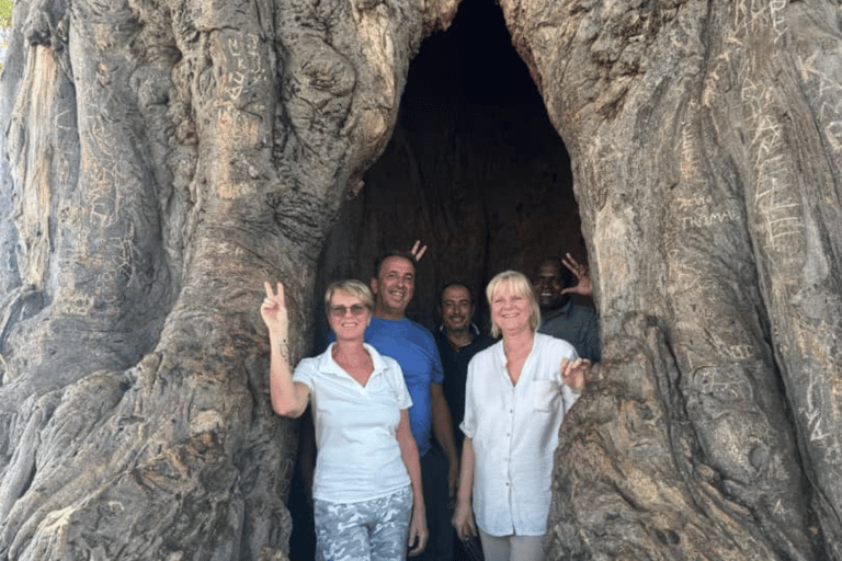 Arusha: 3-Day Tarangire Safari & Kikuletwa Hot Springs