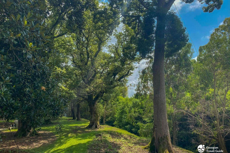 From Batumi: Georgian Amazon & Kolkheti Park Tour