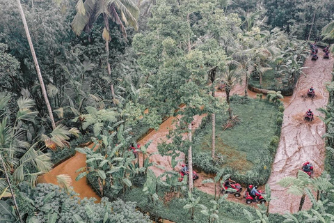 ATV Bali Gorilla Cave with Lunch at Cretya Sunset Single without transfers