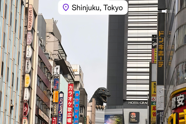 Tokyo: Private City Day Tour with English speaking Driver