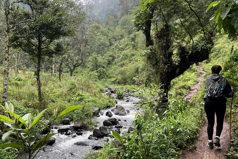 Materuni Waterfalls and Coffee Day Tour