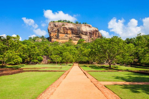 Sigiriya Village Tour with Lion Rock Climb Under Full Moon