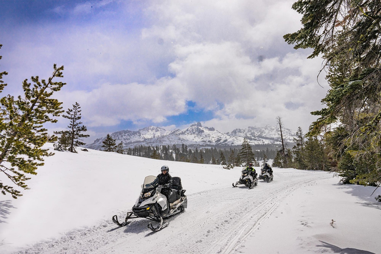 Jackson Hole: Continental Divide Snowmobile TourSingle Rider (1 Adult)