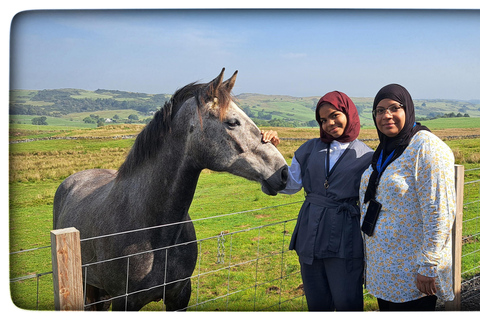 Glasgow: Highland Cow Trailer Tour with home baking