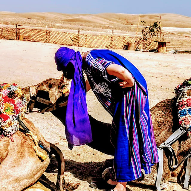 Marrakech Camel Ride In The Palm Grove Getyourguide