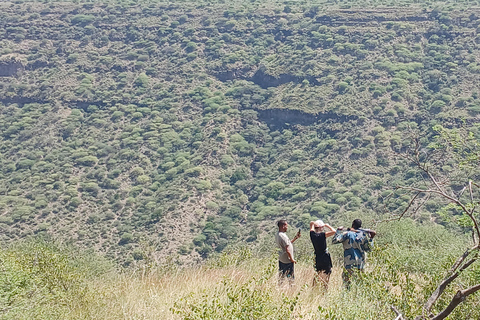 "Doświadczenie safari w Parku Narodowym Awash"
