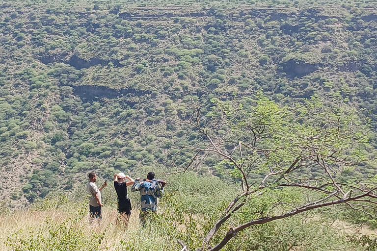 "Doświadczenie safari w Parku Narodowym Awash"
