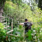 Marsiglia: Ecopark Adventures Treetop Adventure