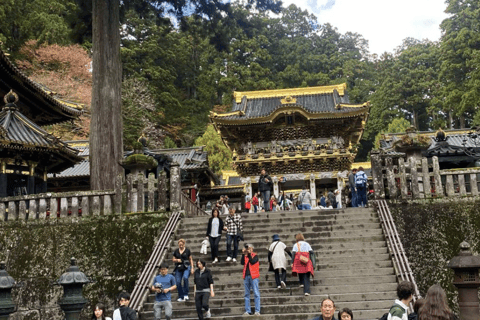 Tokyo: Tour privato di un giorno di Nikko, Patrimonio dell&#039;Umanità dell&#039;Unesco, e prelievo di campioni