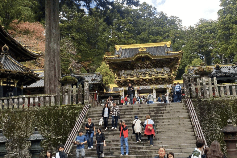 Tóquio: Nikko Patrimônio Mundial da Unesco - Tour particular de um dia e serviço de busca