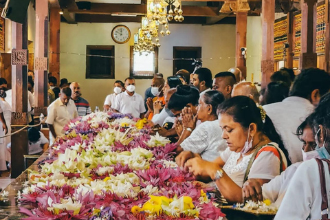 Bentota to Kandy Day Tour : Hidden Heritage, Tea Factory