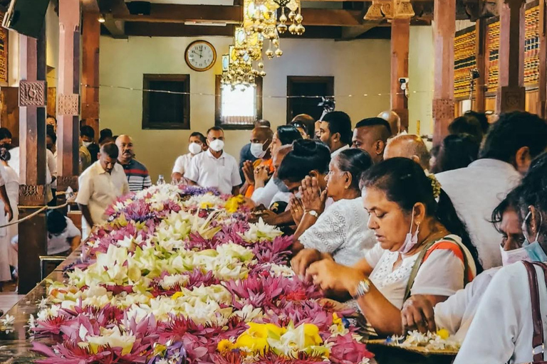 Bentota to Kandy Day Tour : Hidden Heritage, Tea Factory