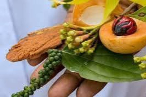 Zanzibar: Spice Farm, Stone Town or Jozani Forest with lunch Spice Farm Experience with lunch – (No Transport)