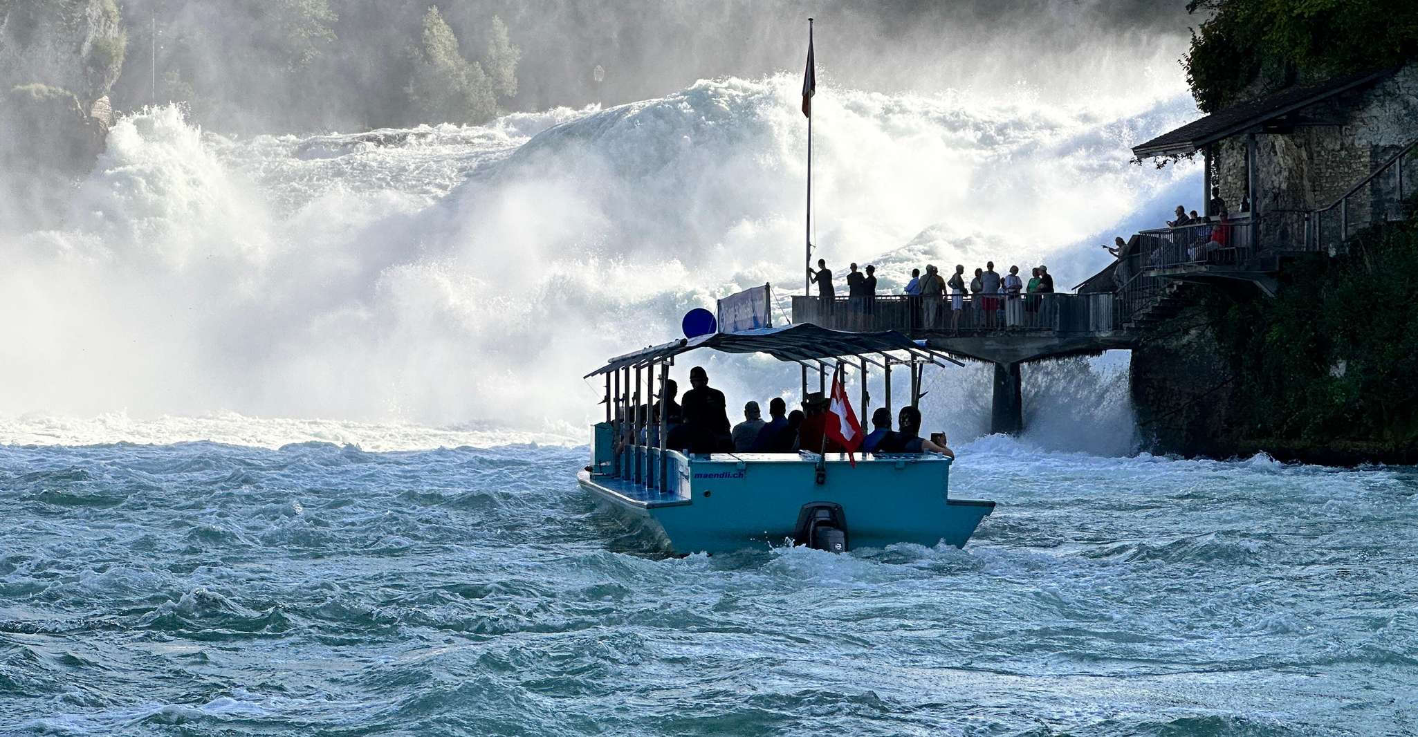 Tour privado a las Cataratas del Rin con recogida en el Hotel - Hizvo