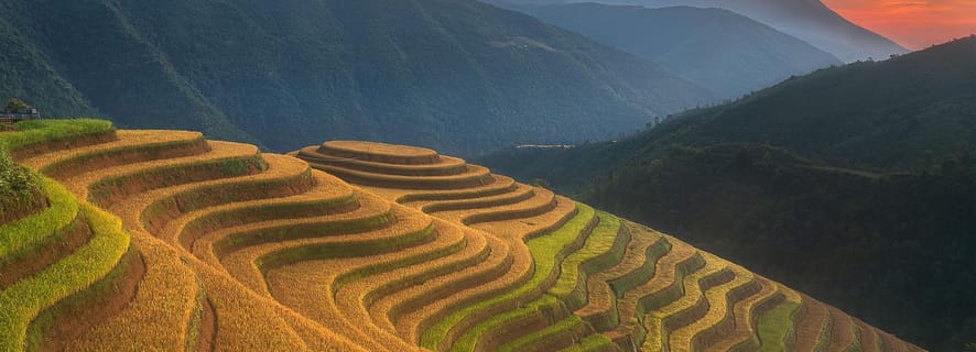 From Sapa: 1-Day Guided Trek to Lao Chai & Ta Van with Lunch