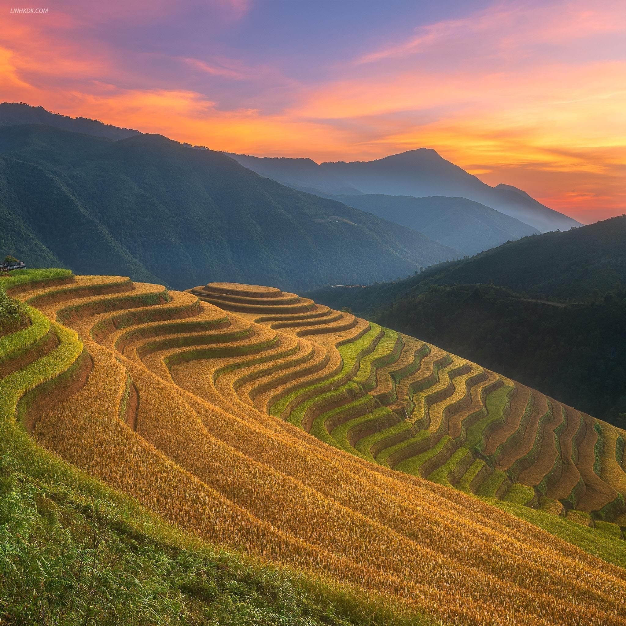 Von Sapa: 1-tägige geführte Wanderung nach Lao Chai und Ta Van mit Mittagessen