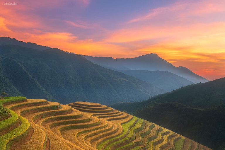 Van Sapa: 1-daagse begeleide trektocht naar Lao Chai en Ta Van met lunch