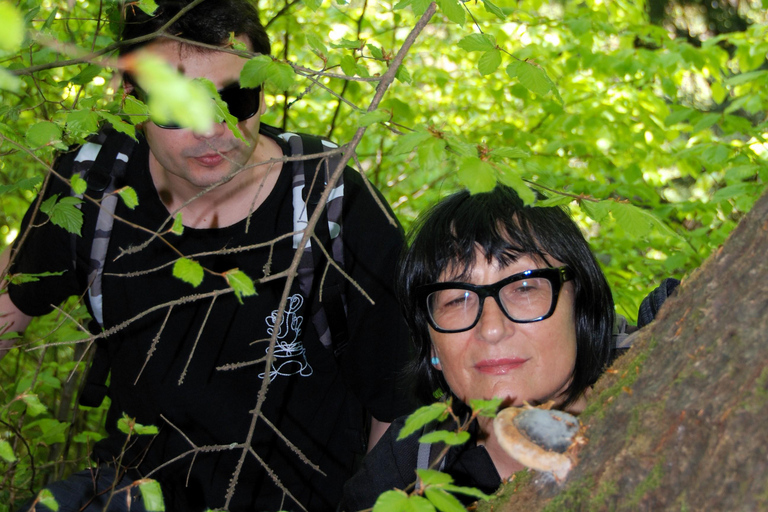 Poiana Brașov: setas silvestres y secretos del bosque