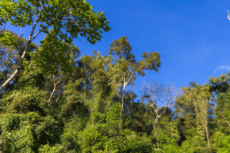 Cat Tien National Park with Crocodile Lake