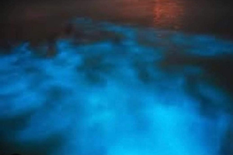 Luminous lagoon : Night Tour from Ocho Rios and Runaway Bay