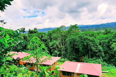 From Cusco: 3-Day Manu Amazon Tour with Lodges & Meals