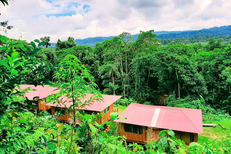 From Cusco: 3-Day Manu Amazon Tour with Lodges & Meals