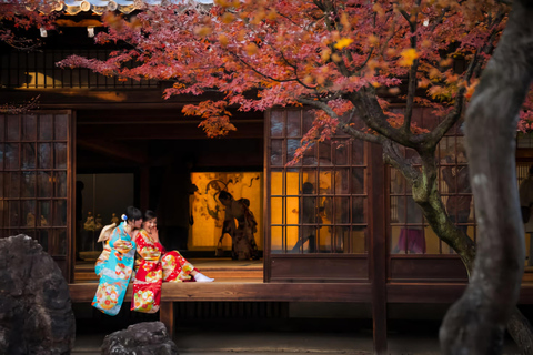 Kyoto/Nara: Private Guided Tour with Hotel Pickup & Drop-off