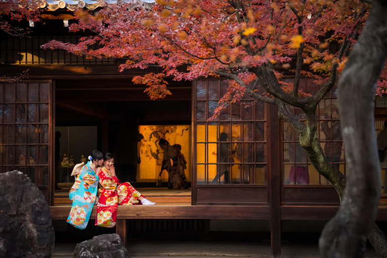 Kyoto/Nara: Private Guided Tour with Hotel Pickup & Drop-off