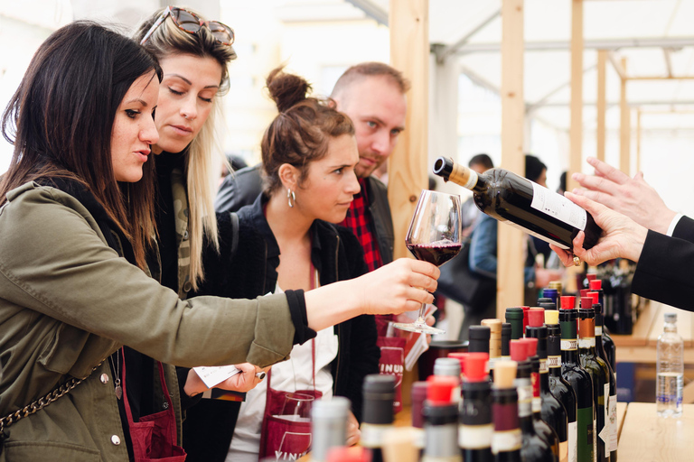 Da Milano: gita di un giorno nella regione vinicola delle Langhe con degustazione di BaroloAggiornamento per piccoli gruppi: Escursione di un giorno nella regione vinicola delle La