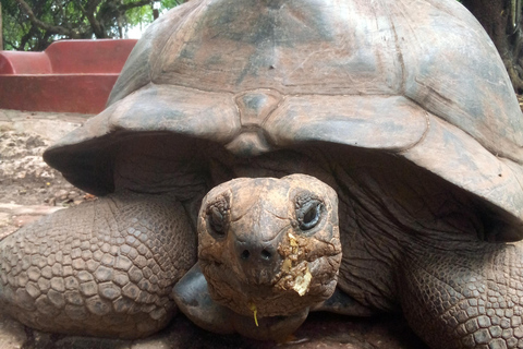 Zanzibar: tour guidato dell'isola prigione con guida localeZanzibar: tour guidato dell'isola prigione con una guida locale
