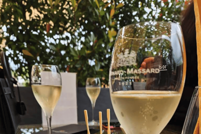 Luxembourg: Moselle Wine & Beaufort Castle Private Day Tour