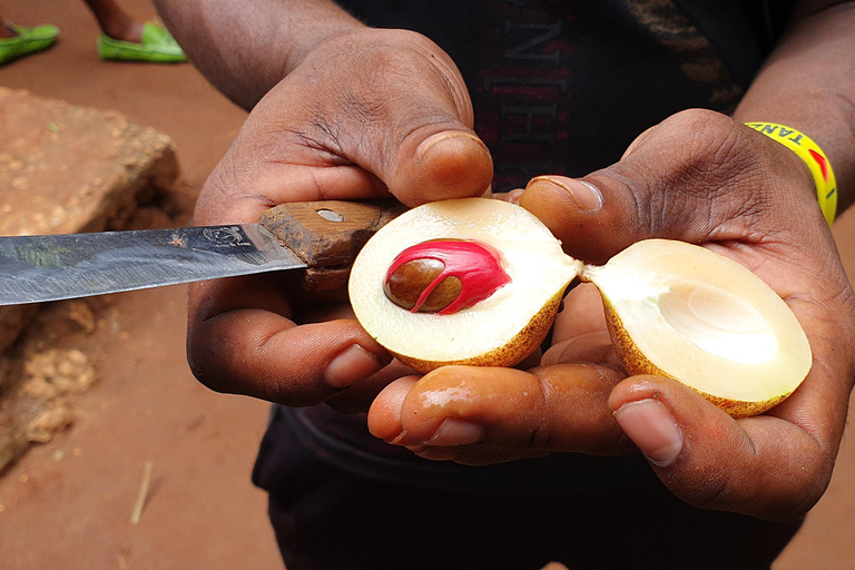 Zanzibar: Spice Tour with Local Cuisine