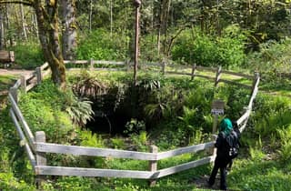 Wanderung durch die Zeit: Geschichts-Wanderung in Bellevue Coal Creek