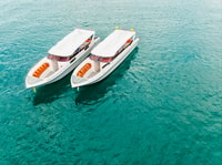 Phuket, Maya, Phi Phi, and Bamboo Island with Buffet Lunch - Housity