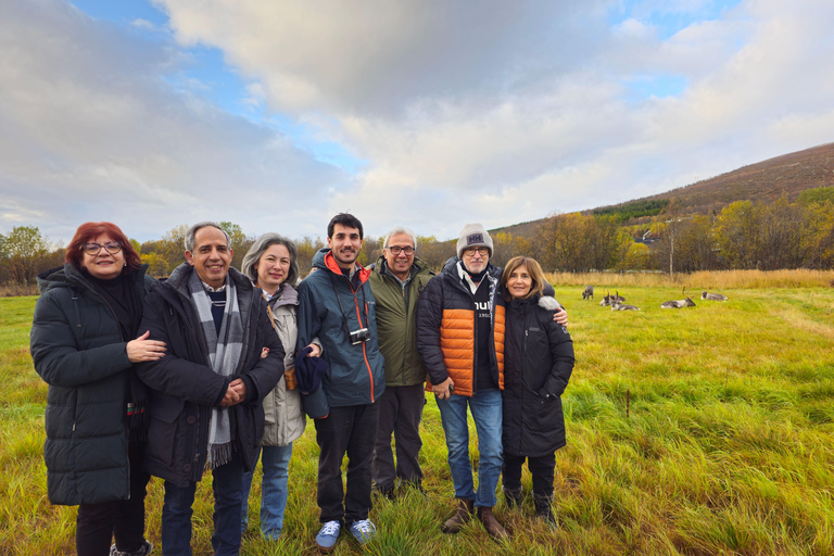 Von Tromsø aus: Arktische Tierwelt & Fjord-Sightseeing-Tour mit dem AutoVon Tromsø aus: Arktische Fjord- und Wildtier-Tour mit dem Auto